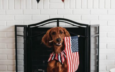 Calling all patriotic pups!  We are excited to partner with @capemaystrong as a sponsor for their Patriotic Pet Virtual Contest, in honor of the 4th of July!  . Enter to win fun prizes! Here’s how to participate: .  Dress up your pet for a patriotic picture. 📸 Take a picture or 15 second video.  Submit your photo or video by posting it on Facebook or Instagram and tagging it with #cmpatrioticpet, or submit via email to capemaycontest@gmail.com.  Entries must be posted or emailed by midnight on Saturday, July 4. . Follow @capemaystrong and visit their website to learn more about the events they have planned for their Olde Fashioned Fourth of July Celebration. . We wish everyone a happy and healthy holiday! . . . . . . . . . . .