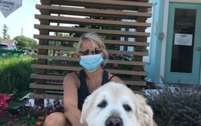 Good boy, Charlie!  This sweet pup had a wonderful stay at the Boarding House with his mom. Charlie says the yummy cookies  from @blacksheepdogtreats were his most favorite thing about his Cape May vacay.  . Humans, give us a call  at 609-884-4884 if you’d like to visit with your pup! Dog-friendly rooms must be booked over the phone. . ? Huge thanks to Charlie’s mom Ellen for this photo! . . . . . . . . . . .