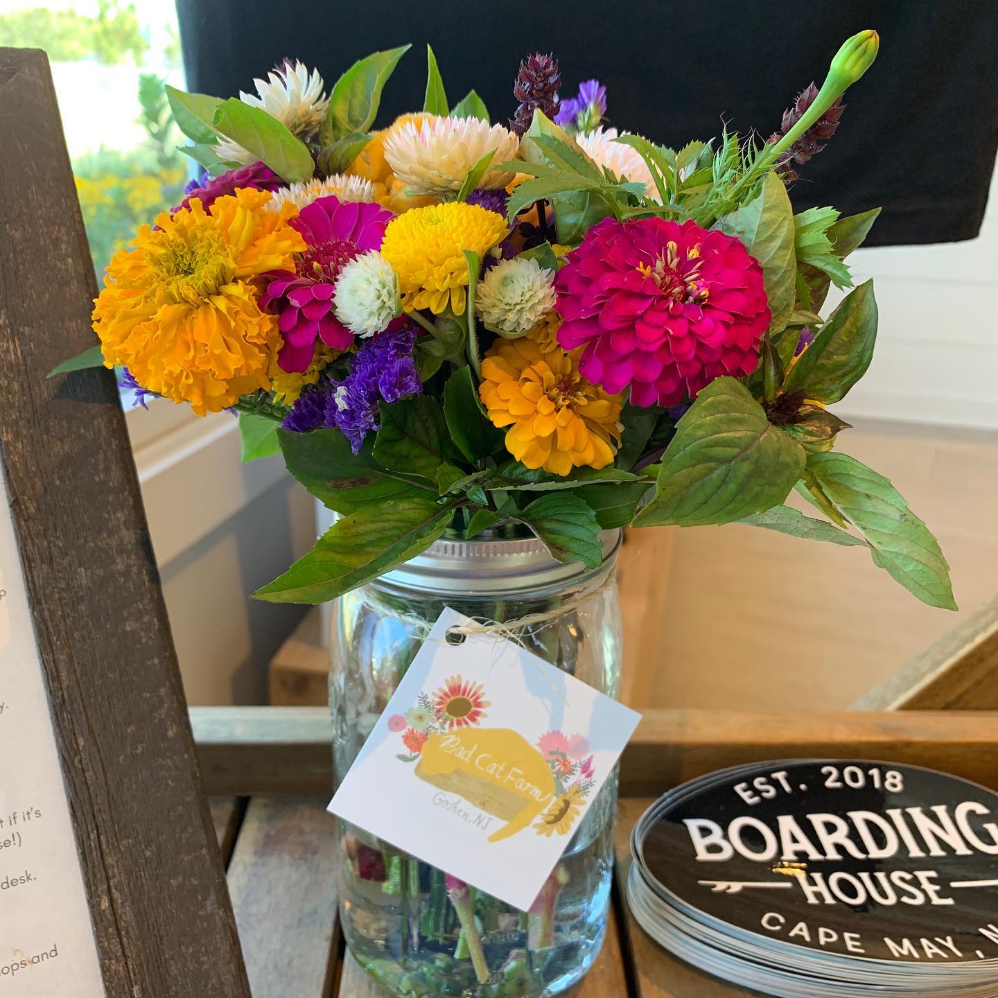 Positively STOKED to receive our first flower arrangement  from Bad Cat Farm!
.
Located in nearby Cape May Court House, Bad Cat Farm offers beautiful field grown flowers, along with fresh herbs  and eggs 🥚. Our guests will be able to enjoy these lovely arrangements in our lobby throughout Bad Cat’s growing season. And if you’re celebrating a special occasion during your stay, a Bad Cat bouquet will be the cherry on top of your beautiful vacation! Reach out to us for details on how to order from Bad Cat.
.
Follow Bad Cat Farm here: @badcatfarmcmc
.
Save on your September and early October stay at the Boarding House with our Far Out Fall special! 🤙🏼 Link in bio.
.
.
.
.
.
.
.
.
.
.
.