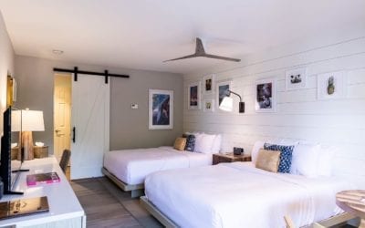 Book your Halloweekend getaway at the Boarding House!  We have limited availability for this Thursday, Friday, and Saturday (10/29-10/31). Double Queen  accommodations are available (room sleeps up to 4). . Please visit our website or call us at 609-884-4884 to book! .  If you are interested in traveling with your pup, please call us to book. . . . . . . . . . . .