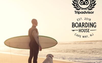 We are honored to be featured as a 2020 Travelers’ Choice hotel by Tripadvisor, and we are STOKED to be listed as the Cape May hotel! 🥇🥳🤙🏼 Huge thanks to our amazing guests for sharing your experiences at the Boarding House on Tripadvisor. It means the world to us! . There’s still time to save on a 5-star stay this fall with our November weekend special. Link in bio to book! . . . . . . . . . . .