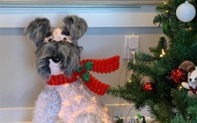 Our lobby pup is here to wish you a happy howliday season!  .  We’re serving up a side of Boarding House swag when you order hotel gift certificates for the holidays! .  Purchase a $200 hotel gift certificate and receive a BH logo t-shirt ? Purchase a $300 gift certificate and receive a logo t-shirt and hat . Order on our website today! Link in bio. . . . . . . . . . . .