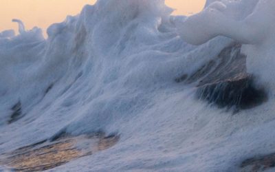 “The sea, once it casts its spell, holds one in its net of wonder forever.”  — Jacques Cousteau . . .