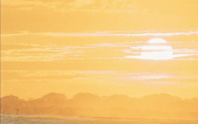 “Some painters transform the sun into a yellow spot. Others transform a yellow spot into the sun.”  — Pablo Picasso . . .