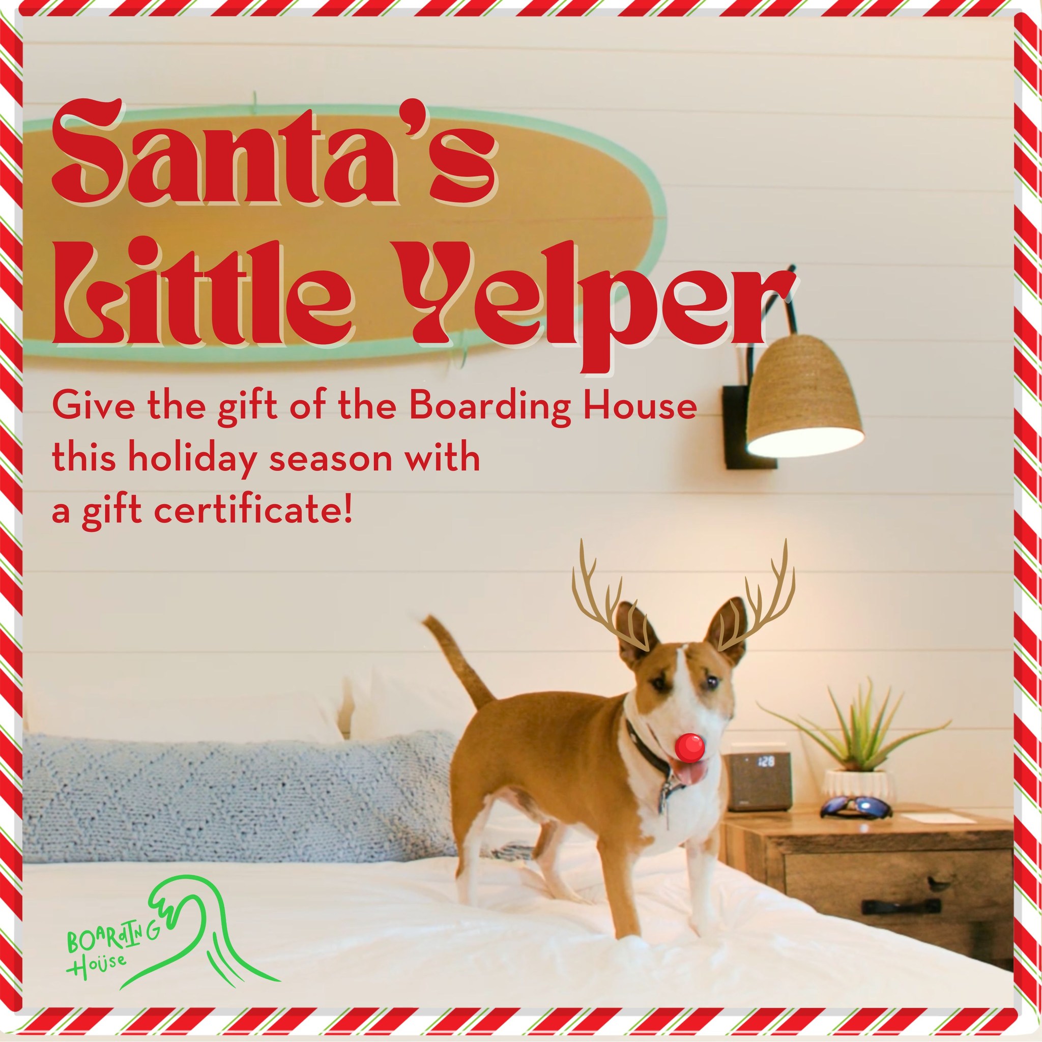 This Friday, November 24, we’re launching our holiday sale! Give the gift of the Boarding House this holiday season.Purchase a $200 Boarding House Gift Certificate and receive a $20 Boarding House Gift Certificate absolutely FREE! For every additional $50 spent on a Boarding House Gift Certificate, you'll get an extra $5.Check out the link in our bio to purchase your Boarding House gift certificate online, or give us a call at (609) 884-4884 Wednesday through Saturday between 9am and 4pm to purchase over the phone.