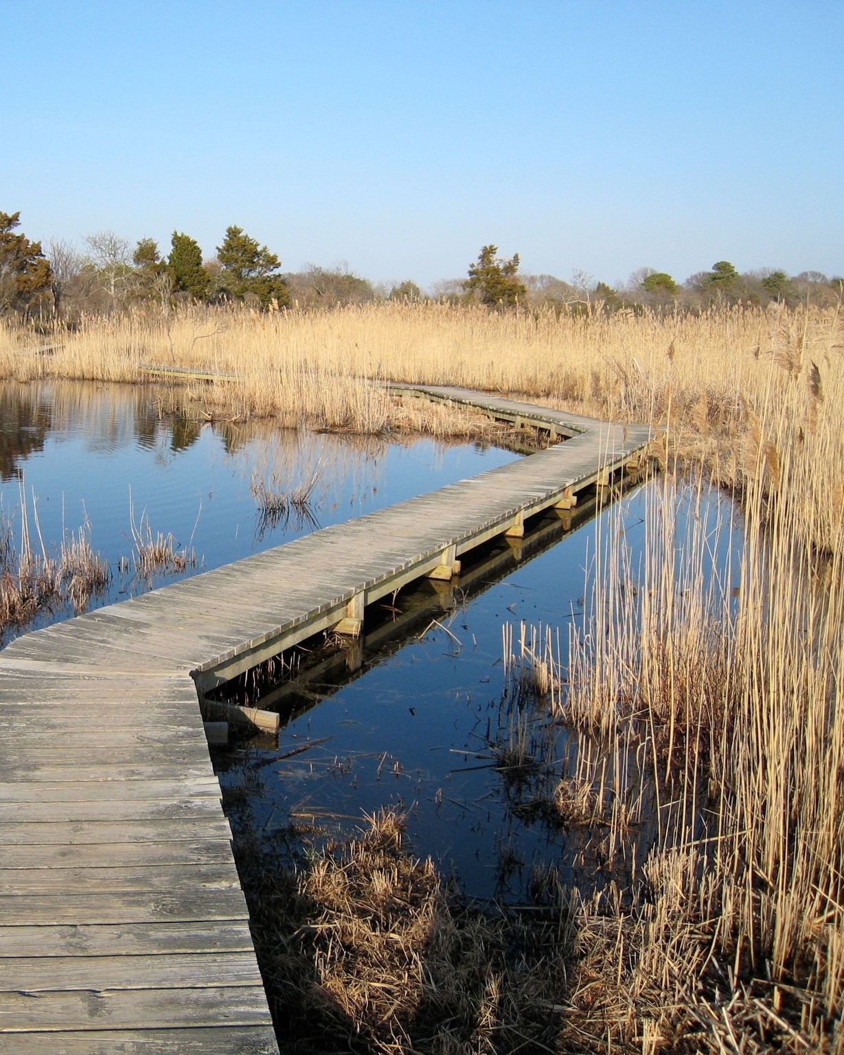 Happy National Hiking Day. Throw on your sneakers and take a hike at