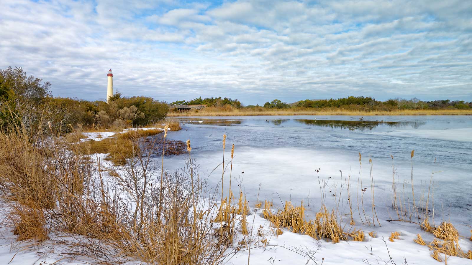 cape may lighthouse | Cape May NJ