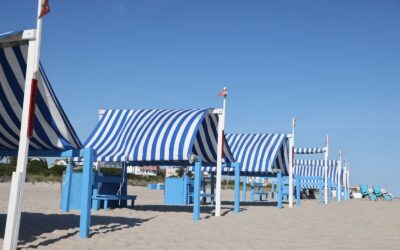 We can almost feel the warm summer breeze.