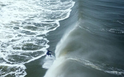 Wave hello to a wonderful weekend.